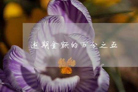 逾期金额的万分之五 逾期金额的万分之五
