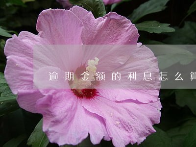 逾期金额的利息怎么算