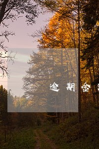 逾期金额的千分之一怎么算 逾期金额的千分之一怎么算