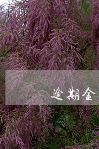 逾期金额的千分之五 逾期金额的千分之五