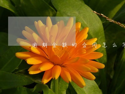 逾期金额的合同怎么写 逾期金额的合同怎么写