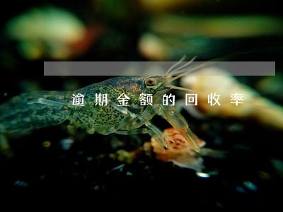逾期金额的回收率 逾期金额的回收率