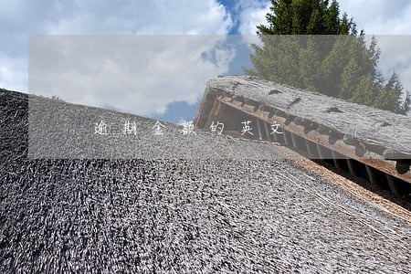 逾期金额的英文 逾期金额的英文