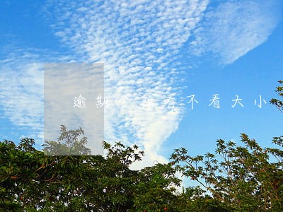 逾期金额看不看大小 逾期金额看不看大小