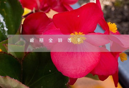 逾期金额等于 逾期金额等于