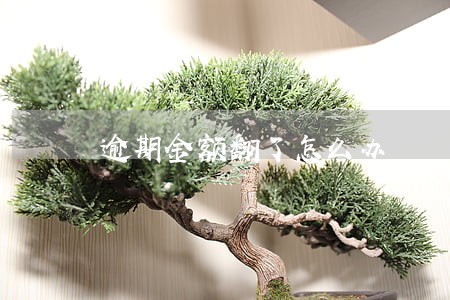 逾期金额翻了怎么办 逾期金额翻了怎么办