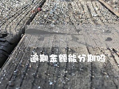 逾期金额能分期吗