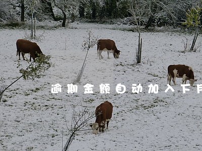 逾期金额自动加入下月 逾期金额自动加入下月