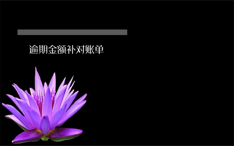 逾期金额补对账单 逾期金额补对账单
