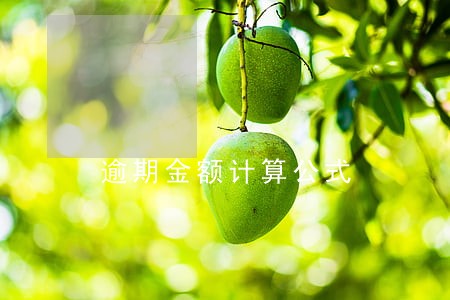 逾期金额计算公式 逾期金额计算公式