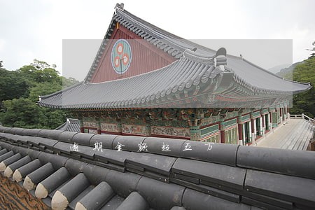逾期金额超五万 逾期金额超五万