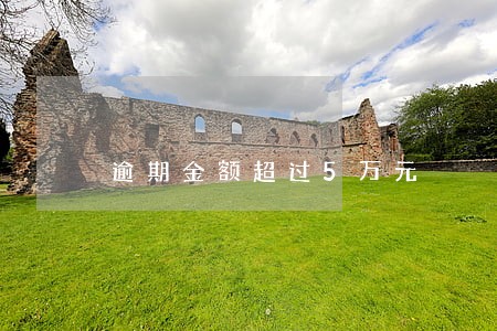 逾期金额超过5万元 逾期金额超过5万元