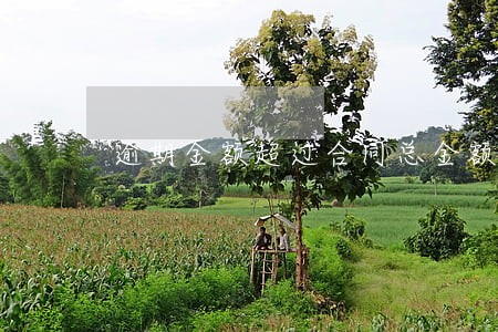 逾期金额超过合同总金额的