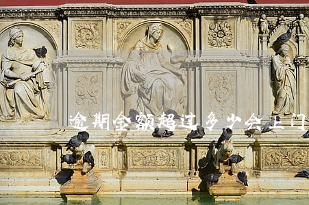 逾期金额超过多少会上门 逾期金额超过多少会上门