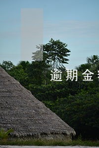 逾期金额超过多少会提起公诉 逾期金额超过多少会提起公诉