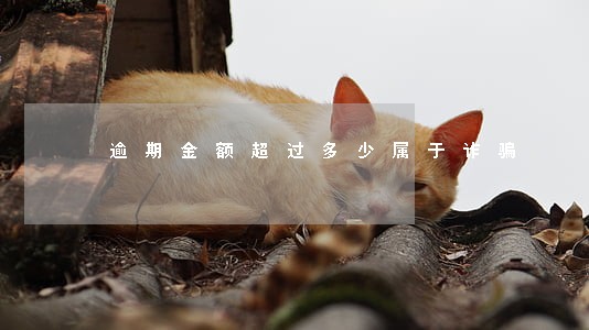 逾期金额超过多少属于诈骗 逾期金额超过多少属于诈骗