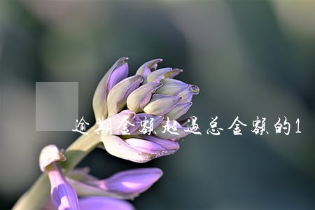 逾期金额超过总金额的15 逾期金额超过总金额的15