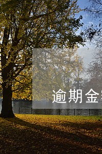逾期金额跟罚息超过本金 逾期金额跟罚息超过本金