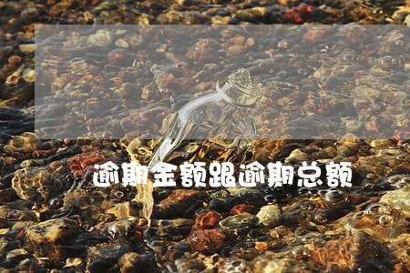 逾期金额跟逾期总额 逾期金额跟逾期总额