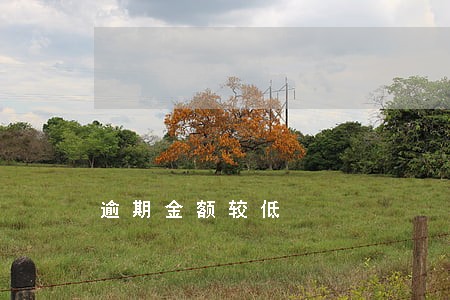 逾期金额较低 逾期金额较低