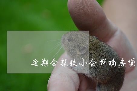 逾期金额较小会影响房贷吗