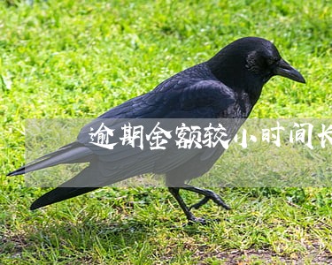 逾期金额较小时间长意味着什么 逾期金额较小时间长意味着什么