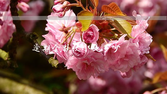 逾期金额较小是多少 逾期金额较小是多少