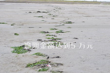 逾期金额达到5万元 逾期金额达到5万元