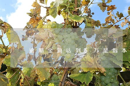 逾期金额达到5万是指本金吗 逾期金额达到5万是指本金吗