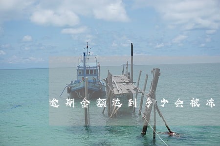 逾期金额达到多少会被冻结 逾期金额达到多少会被冻结