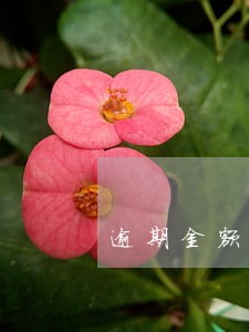 逾期金额过高公司不让入职 逾期金额过高公司不让入职