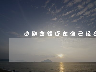 逾期金额还在涨已经还了 逾期金额还在涨已经还了