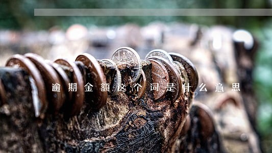 逾期金额这个词是什么意思 逾期金额这个词是什么意思