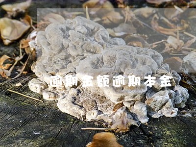 逾期金额逾期本金