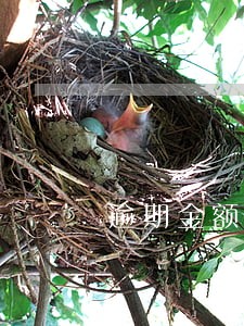 逾期金额逾期率