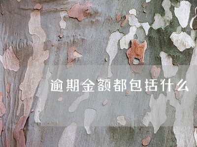 逾期金额都包括什么 逾期金额都包括什么