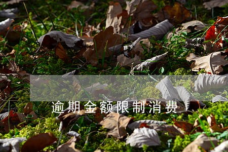 逾期金额限制消费 逾期金额限制消费