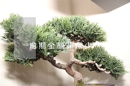逾期金额非常少 逾期金额非常少