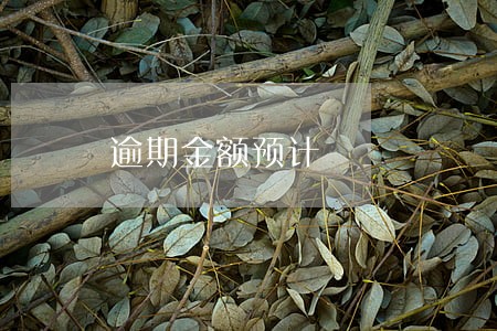 逾期金额预计 逾期金额预计