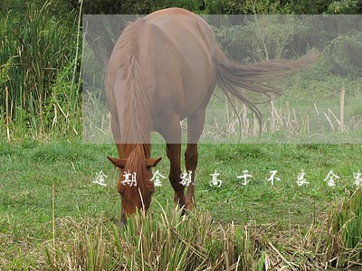 逾期金额高于不良金额 逾期金额高于不良金额