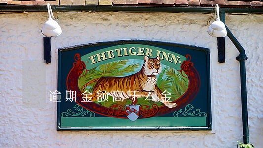 逾期金额高于本金 逾期金额高于本金
