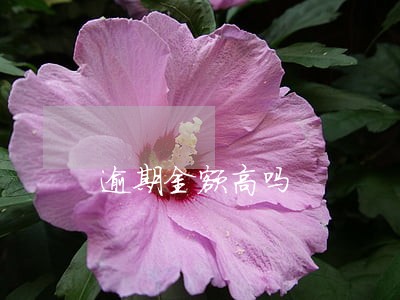 逾期金额高吗 逾期金额高吗