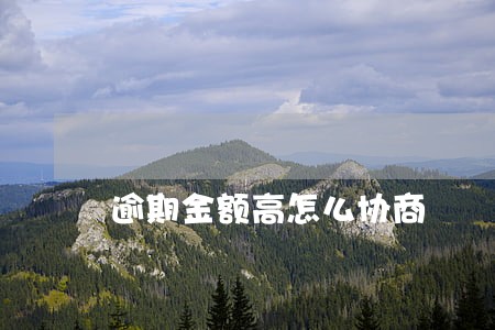 逾期金额高怎么协商 逾期金额高怎么协商