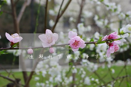 逾期钱了就没事了吗 逾期钱了就没事了吗