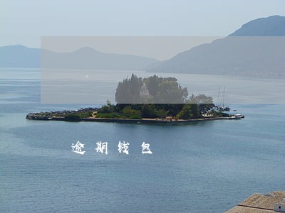 逾期钱包