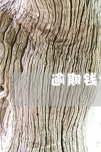 逾期钱包APP 逾期钱包APP
