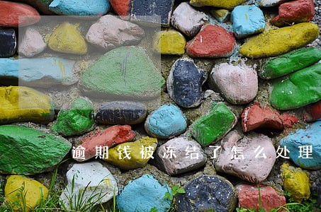 逾期钱被冻结了怎么处理 逾期钱被冻结了怎么处理