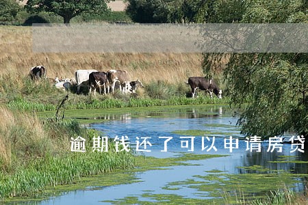 逾期钱还了可以申请房贷不 逾期钱还了可以申请房贷不