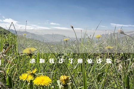 逾期钱还了账单还在 逾期钱还了账单还在