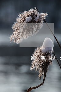 逾期钱还完了还有公布你的信息吗 逾期钱还完了还有公布你的信息吗